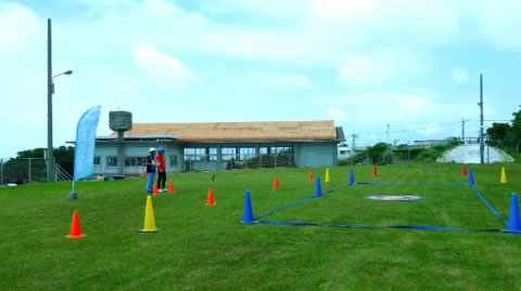 pics6