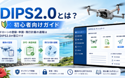 什么是DIPS2.0?面向初学者的全面讲解【2026年最新版】